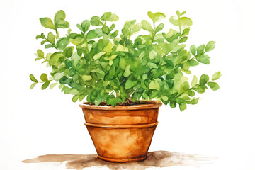 Fototapeta premium Green plant in a terracota pot. Watercolor painting.