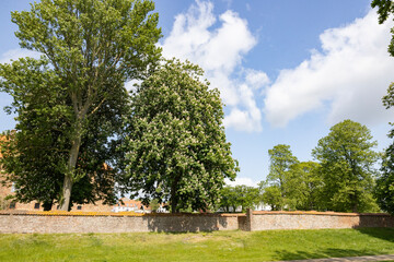 Walking in Sønderborg's streets, Sønderborg (German: Sonderburg), Southern Jutland: Synneborre) is a Danish city located on both sides of Als Sund,Denmark