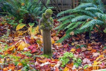 A moss covered statue of St Francis standing among fallen maple leaves, ferns and hosta