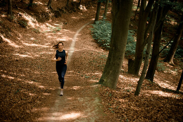 Amazing view of young fit woman running on narrow forest trail between tall trees