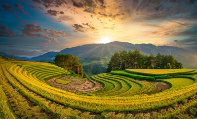 Rice fields on terraced with wooden pavilion at sunset in Mu Cang Chai, YenBai, Vietnam.