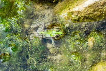 Scenic view of Kapuz Canyon is a testament to the power and beauty of nature. Its untouched wilderness and captivating landscapes make it an ideal destination for outdoor enthusiasts and nature lovers