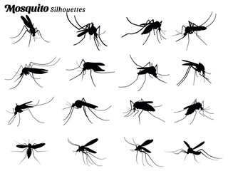 Mosquito insect silhouette vector illustration collection