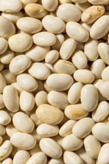 Organic White Navy Beans