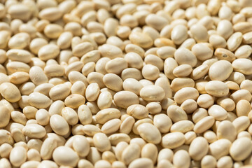Organic White Navy Beans