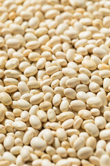 Fototapeta premium Organic White Navy Beans