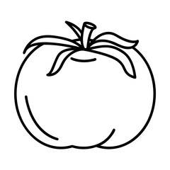 Simple outline of ripe healthy tomato vector icon. Black line drawing or cartoon illustration of fresh vegetable isolated on white background. Healthy food, harvest, agriculture concept