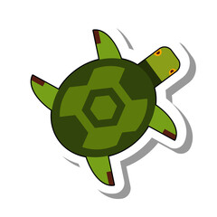 Top view of sea green turtle flat paper sticker. Small marine creature or inhabitant of sea depths and oceans isolated on white background. Nature, aquarium, animals and fish concept