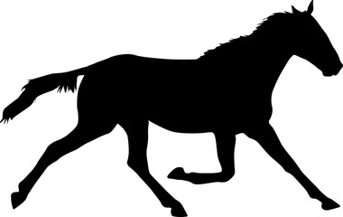 silhouette of black mustang horse on a white background