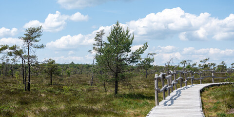 A moor with a  wooden path