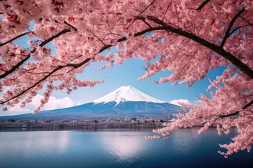 Gordijnen A beautiful cherry blossom tree in front of a majestic mountain backdrop © Virginie Verglas