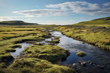 Foto op Plexiglas A wetland formed by peat, located near Hoo Field in Voe, on the mainland of Shetland, United Kingdom. Generative AI © Greer