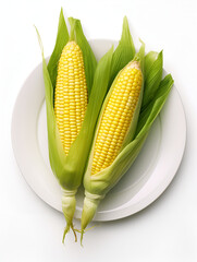 Fresh corn cobs, sweet corn for food on a plate with white background