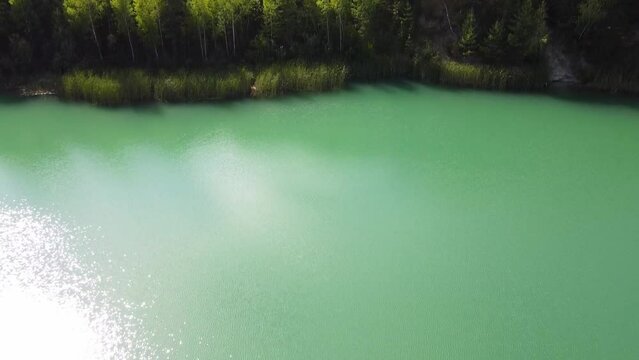 forest lake drone video 60 fps
