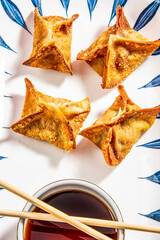 Fried wontons with soya sauce on a vibrant colorful background - 647763714
