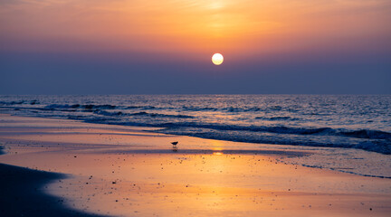 Sunset panorama of the beach of Juist island in National Park “Wattenmeer“ on the North Sea...