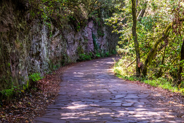 Sendero en la isla de la Gomera.