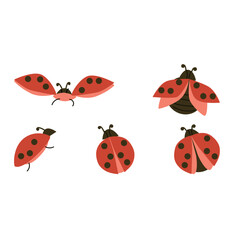 set of red bugs and beetles flying - vector illustration