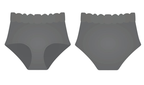 Grey  Female Panties Knickers. Vector