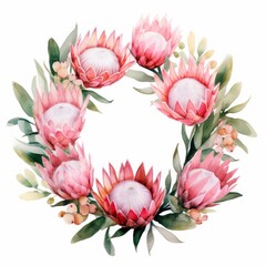 Pink watercolour protea flower Christmas wreath circle decoration on white backdrop. Floral blossom holiday concept