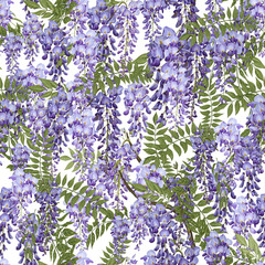 Wisteria seamless pattern. Watercolor violet wisteria flowers. White floral background. - 647775324