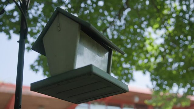 Handheld slow motion slo mo of bird feeder house hanging below green tree outside nature building with seeds and food for aviary animals