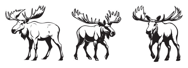 Moose vector illustration, black silhouette laser cutting