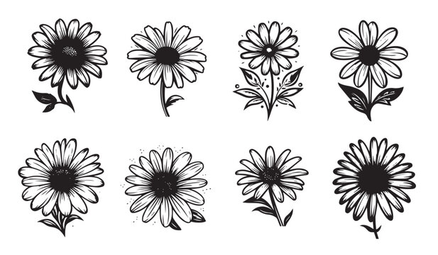Black and white flowers, vector illustration, black silhouette laser cutting