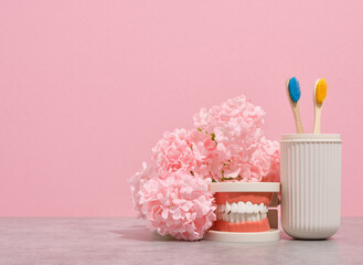 Cleaning the teeth. Human jaw and flowers. Ecological toothbrushes in a container. Copy space for text.
