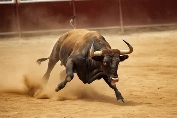 Foto op Canvas traditional bullfight in Spain © Jorge Ferreiro