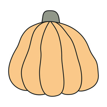 recommend clip art: Pumpkin, squash, autumn vegetable, Halloween hand drawn illustration. Cartoon style line art design, isolated vector. Autumn, fall, Thanksgiving, harvest festival, seasonal decoration, print element