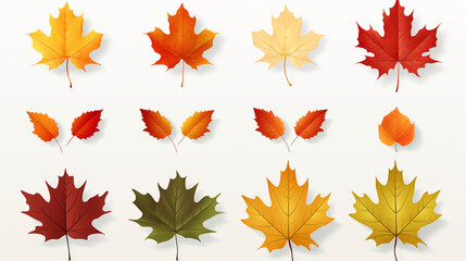 Detailed Maple Tree Leaves Set with a Clean White Background, Vector Style
