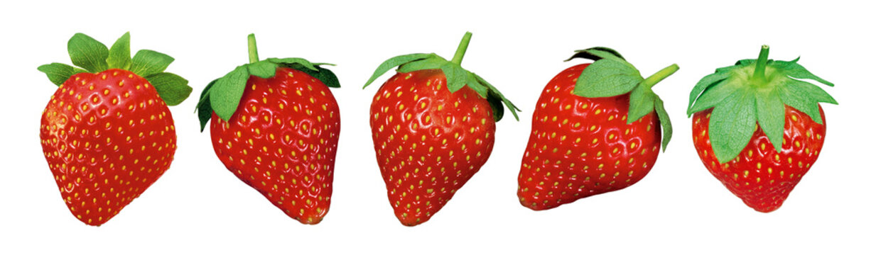 composi&ccedil;&atilde;o com morangos vermelhos maduros isolado em fundo transparente - grupo de morango fresco