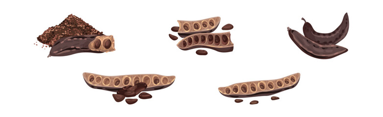 Carob Plant Pod as Natural Sweetener Plant Vector Set