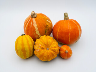 Many different colorful pumpkins on a white background. Halloween, harvest or fall concept. Small ornamental pumpkins