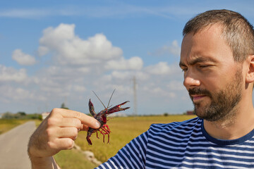 A young man looks at a red swamp crayfish caught in a rice field in Albufera, Valencia, Spain