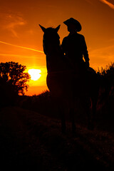 Cowboy im Sonnenuntergang 2