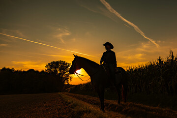 Cowboy im Sonnenuntergang 1