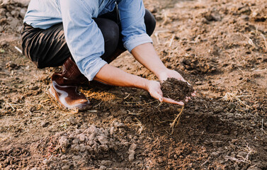 Male hands touching soil on the field. Expert hand of farmer checking soil health before growth a seed of vegetable or plant seedling. Business or ecology concept.