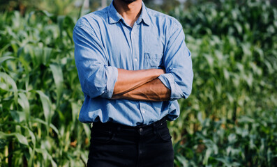 Fototapeta premium Agriculturist utilize the core data network in the Internet from the mobile to validate, test, and select the new crop method. Young farmers and tobacco farming