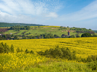 Spring countryside view with rapeseed yellow blooming fields, groves, hills. Ukraine, Lviv Region.