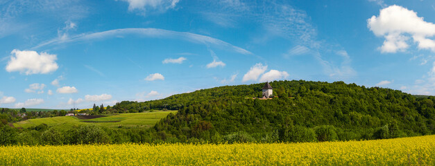 Obraz premium Spring rapeseed yellow blooming fields view, blue sky with clouds in sunlight panorama. Pyatnychany tower (defense structure, 15th century) on far hill slope.