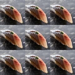 collage of kinds of fish