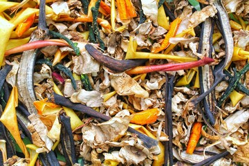 Various food waste close-up. Processing of food waste debris. Dry vegetables garbage prepare for...