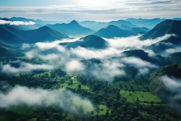 Foggy landscape in the jungle. Fog and cloud mountain