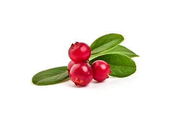 Wild cowberry, foxberry, lingonberry with leaves, isolated on white background. High resolution image.