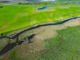 Aerial view of the winding river and blooming fields. The river flows along agricultural fields and forests. Flying a drone over fields, forests and rivers. Natural landscape.