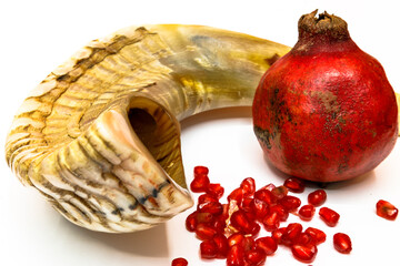 Shofar (horn)  and pomegranate jewish traditional symbols .Shofar  and pomegranate on white...