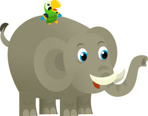 Cartoon wild animal happy young elephant with other animal friend on white background - illustration for the children