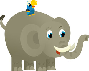 Cartoon wild animal happy young elephant with other animal friend on white background - illustration for the children